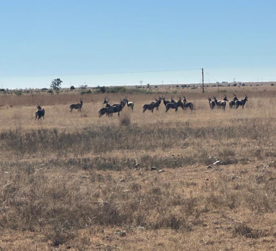 Commercial Property for Sale in Leeudoringstad North West